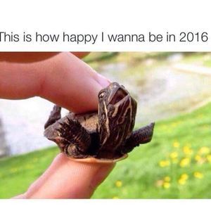 Meet your Posher, Mkay